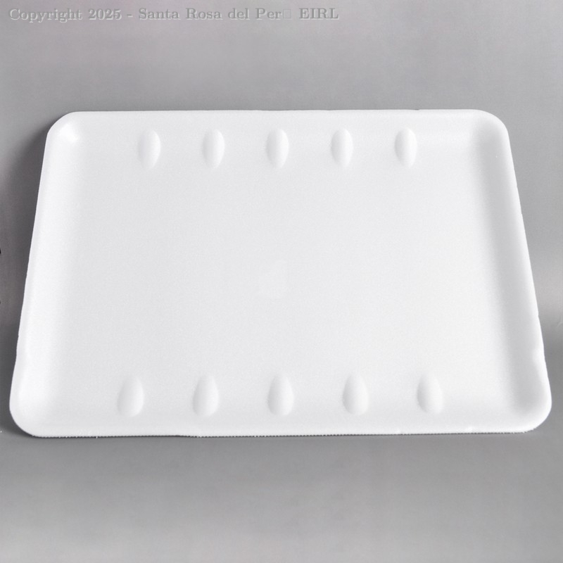 CHAROLA TERMICA RECTANGULAR  X 10 UNIDADES