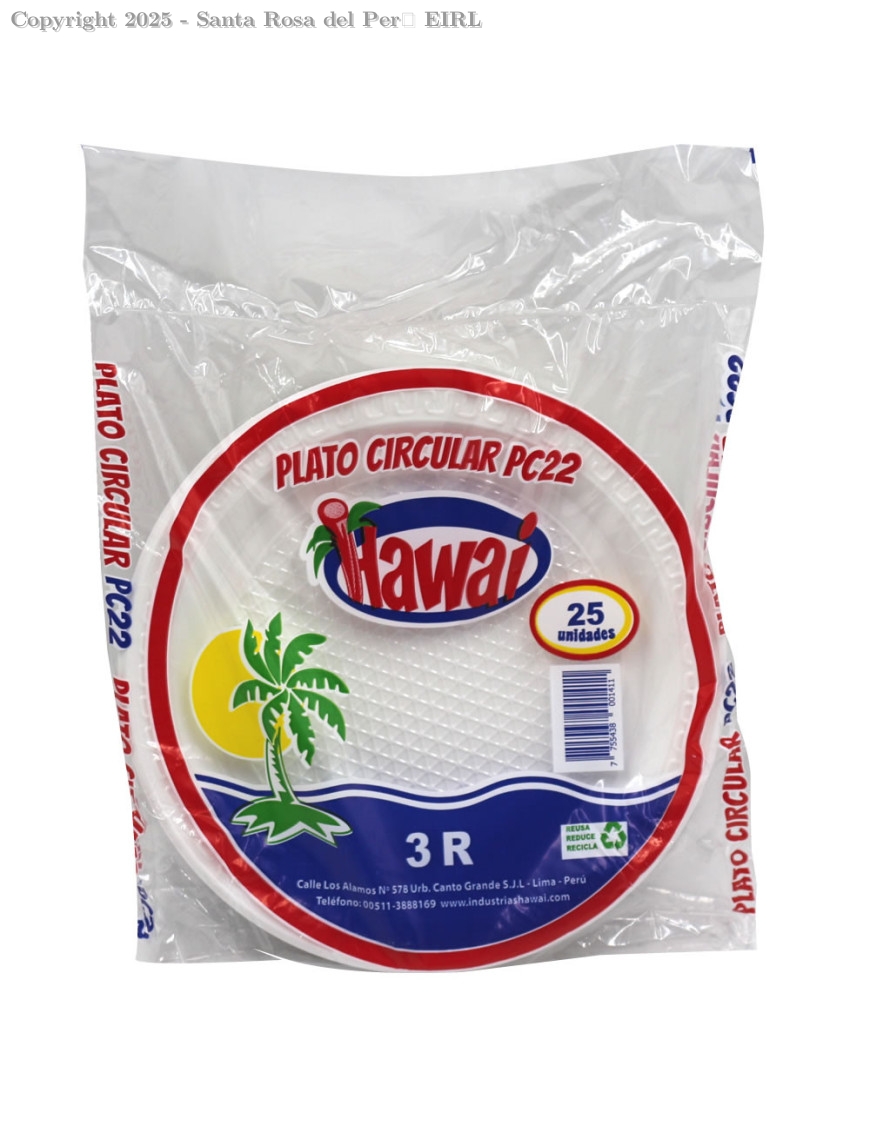 PLATO  PLASTICO  NRO. 22 BL.