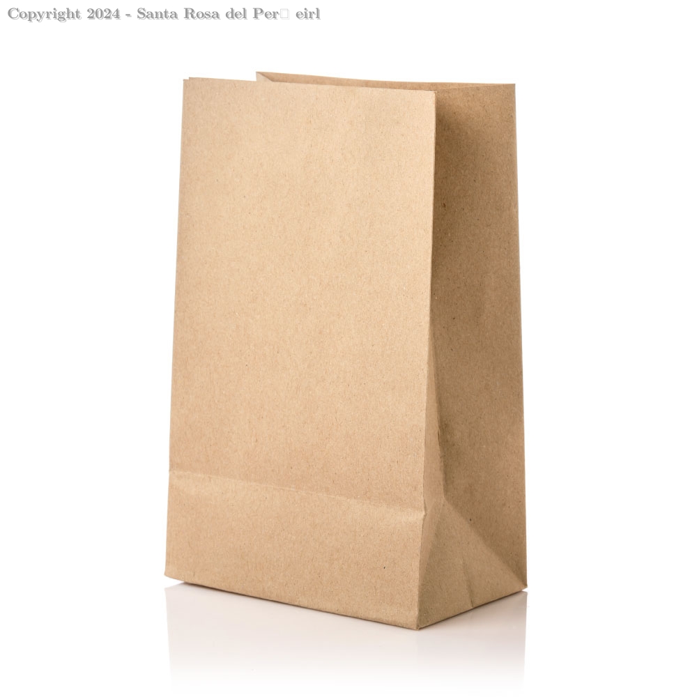 BOLSA DE PAPEL NRO 25 KRAFT 85 GR.