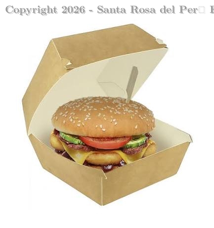 CAJA PARA HAMBURGUESA (CARTON)