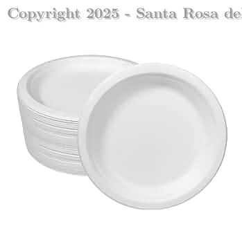 PLATO NRO. 18 FIBRA BIODEGRADABLE