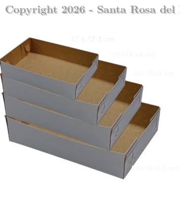 CAJA BOCADITO #2 BLANCO 12 X 17 X 4 (S/TAPA)