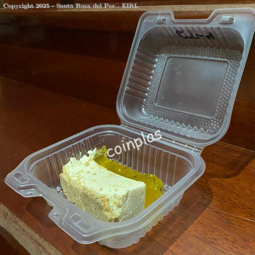 BANDEJA PLAST B3 TR.