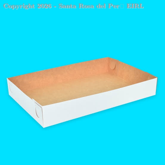CAJA DE BOCADITOS # 5 BL. 20 X 30 X 4.5 (S/TAPA)