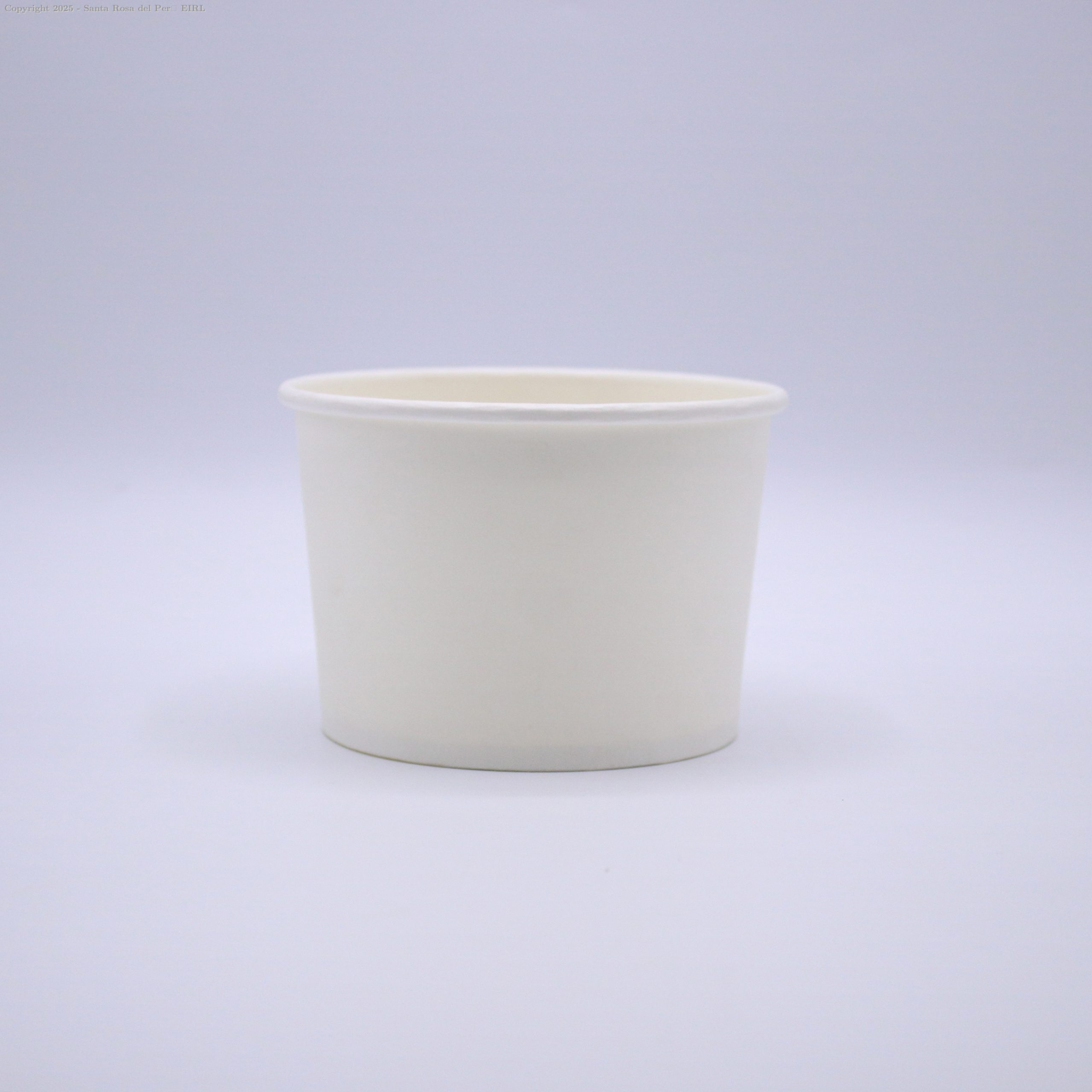 CONTAINER TERMICO 6 POLIPAPEL DE HELADO 
