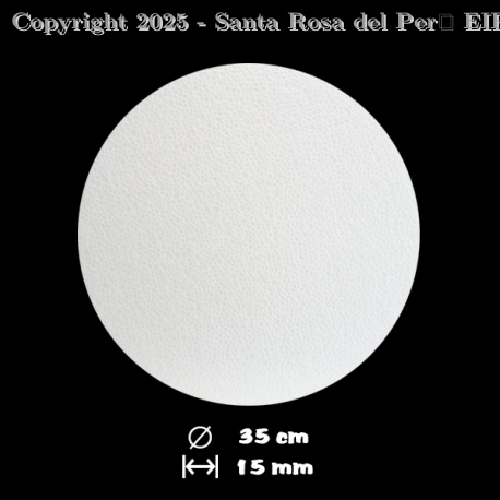BASE DE CARTON BL #35